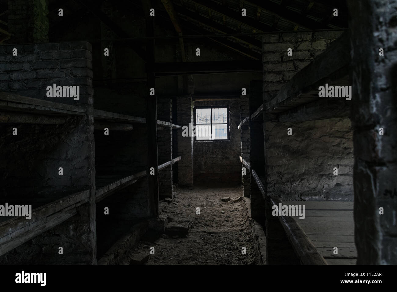 I dormitori con letti a castello in legno che mostra i prigionieri terribili condizioni di vita al campo di concentramento nazista di birkenau in Oświęcim, Polonia, un Foto Stock