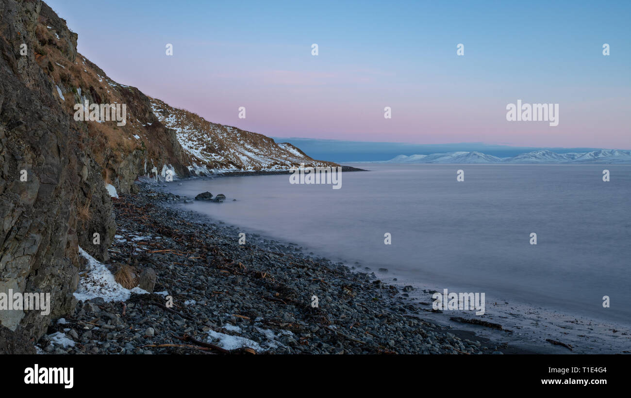Rosa Alba, il mare e la riva nord dell'Islanda Foto Stock