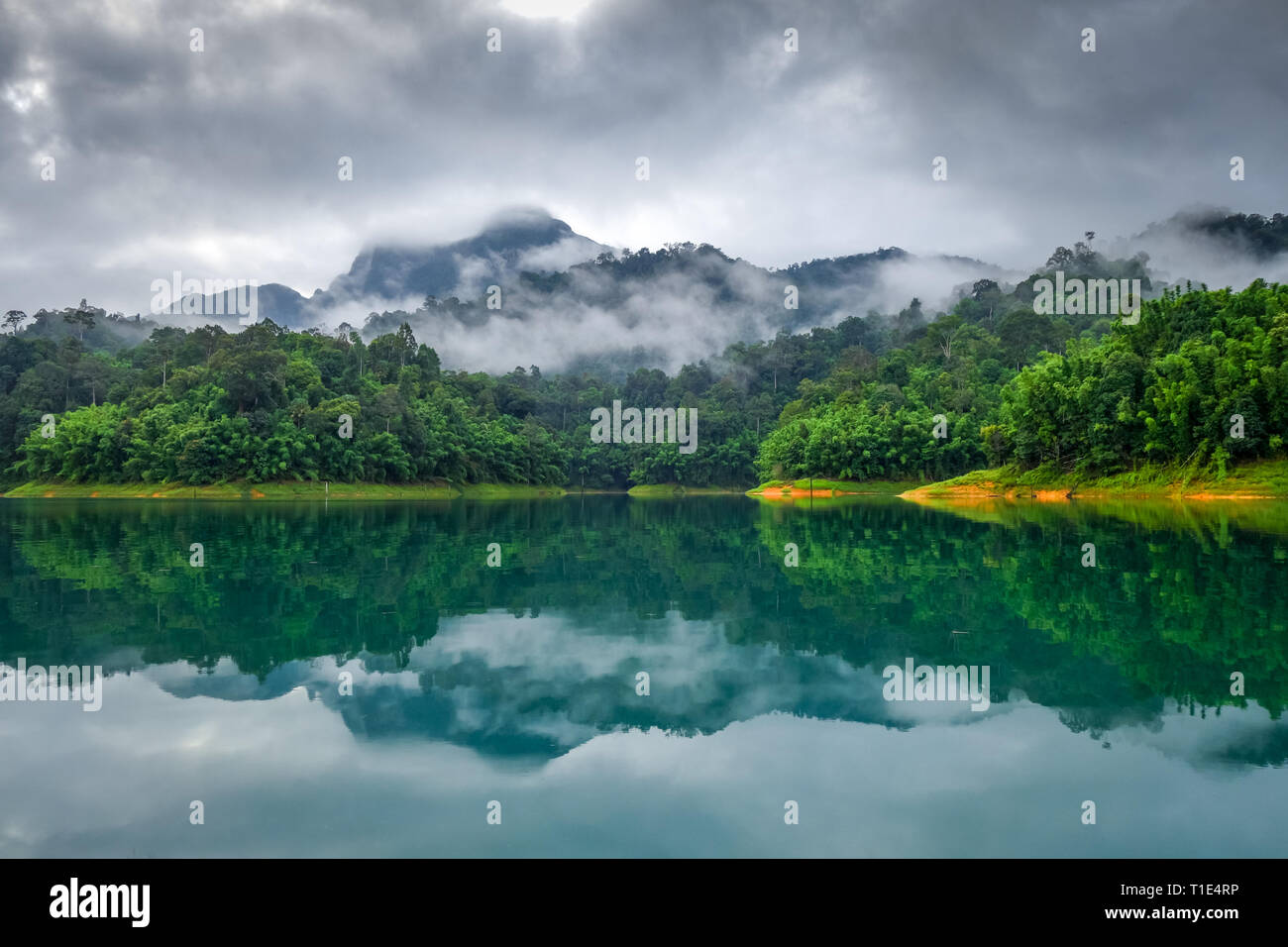Foschia mattutina sulla Lan Cheow Lago in Khao Sok National Park, Thailandia Foto Stock