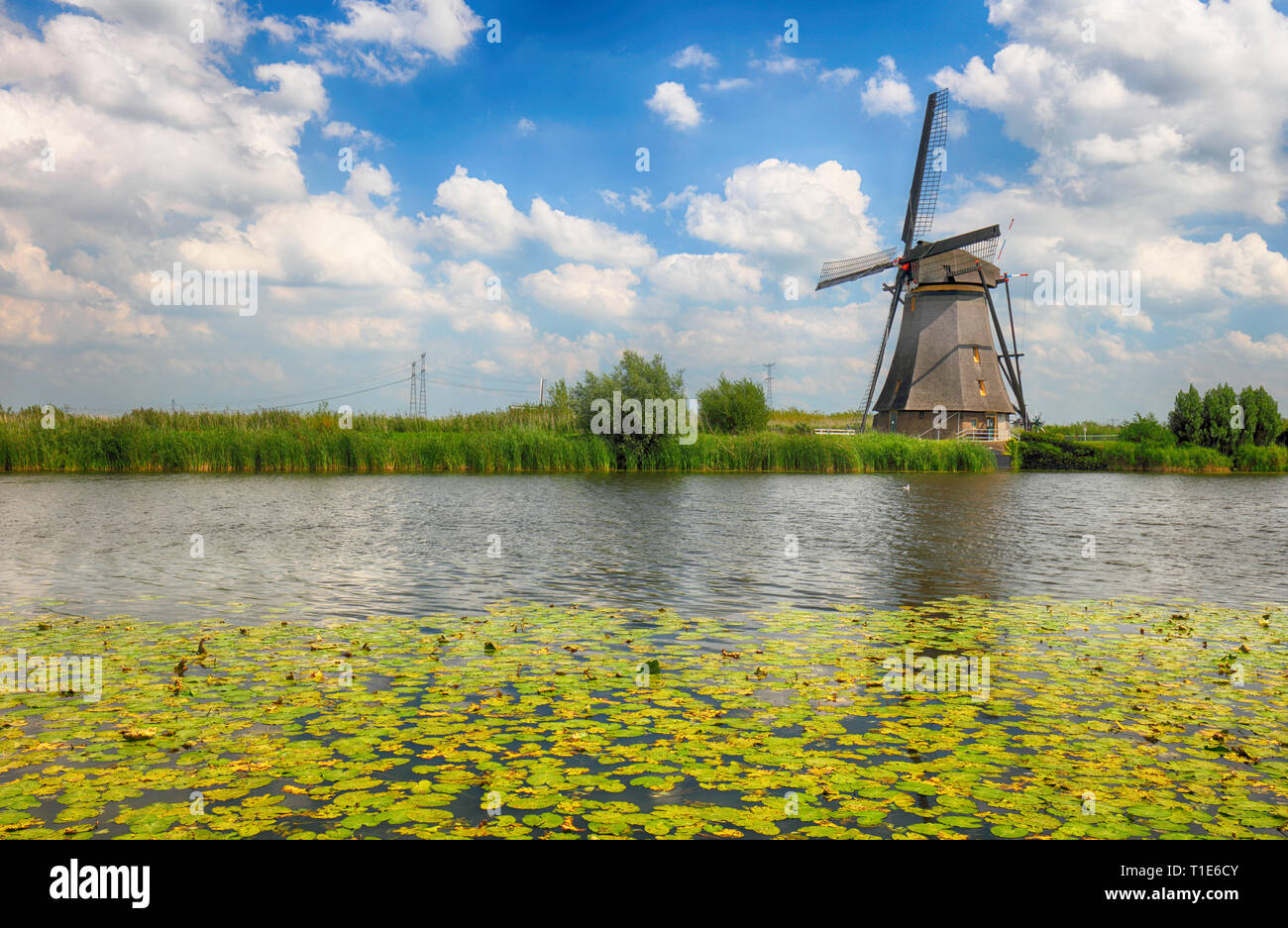 Splendido mulino a vento olandese paesaggio a Kinderdijk nei Paesi Bassi Foto Stock
