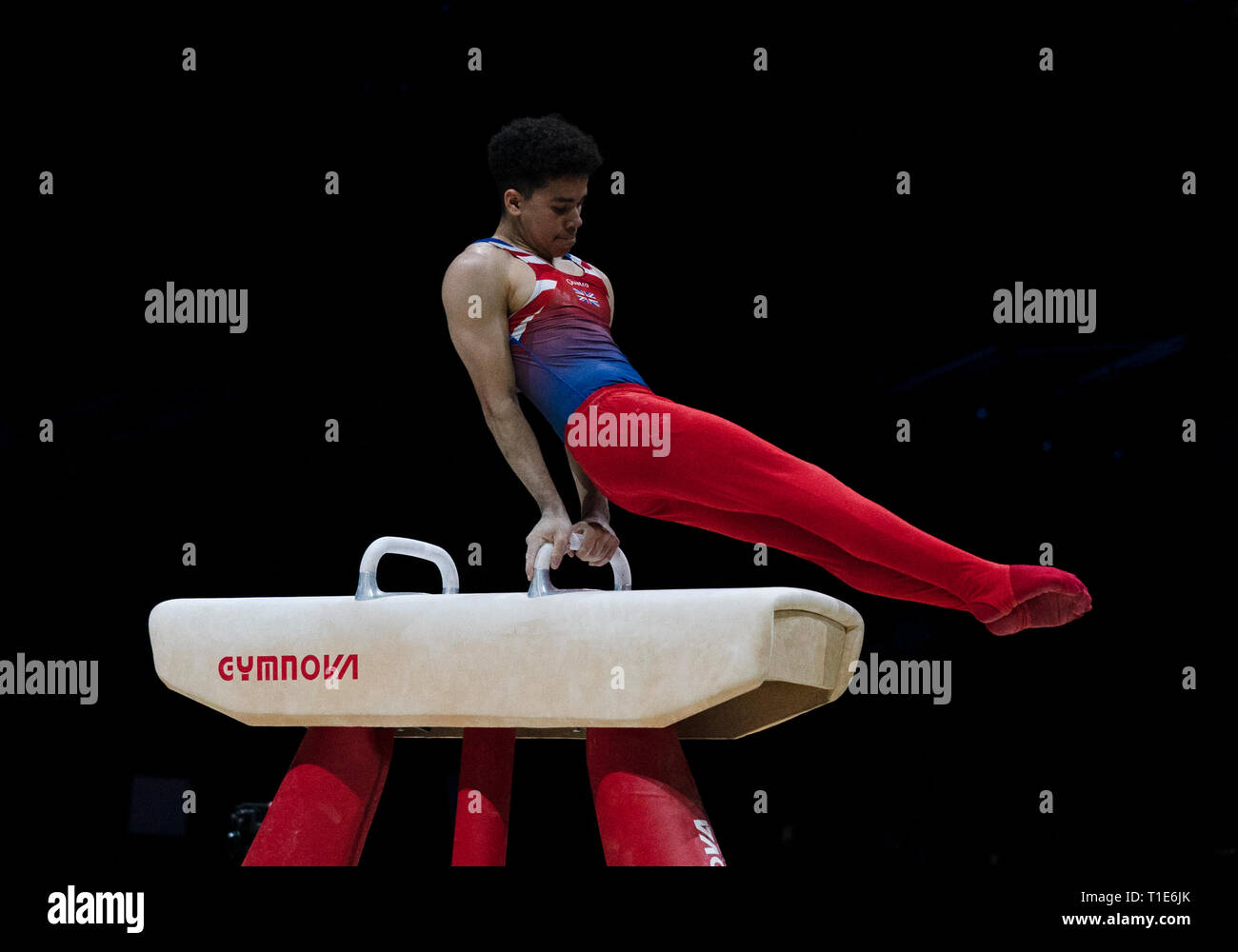 Jamie Lewis (GB) in azione durante Gymnastics World Cup 2019 a Genting Arena Birmingham Regno Unito il 23 marzo 2019. GlennSports. Foto Stock