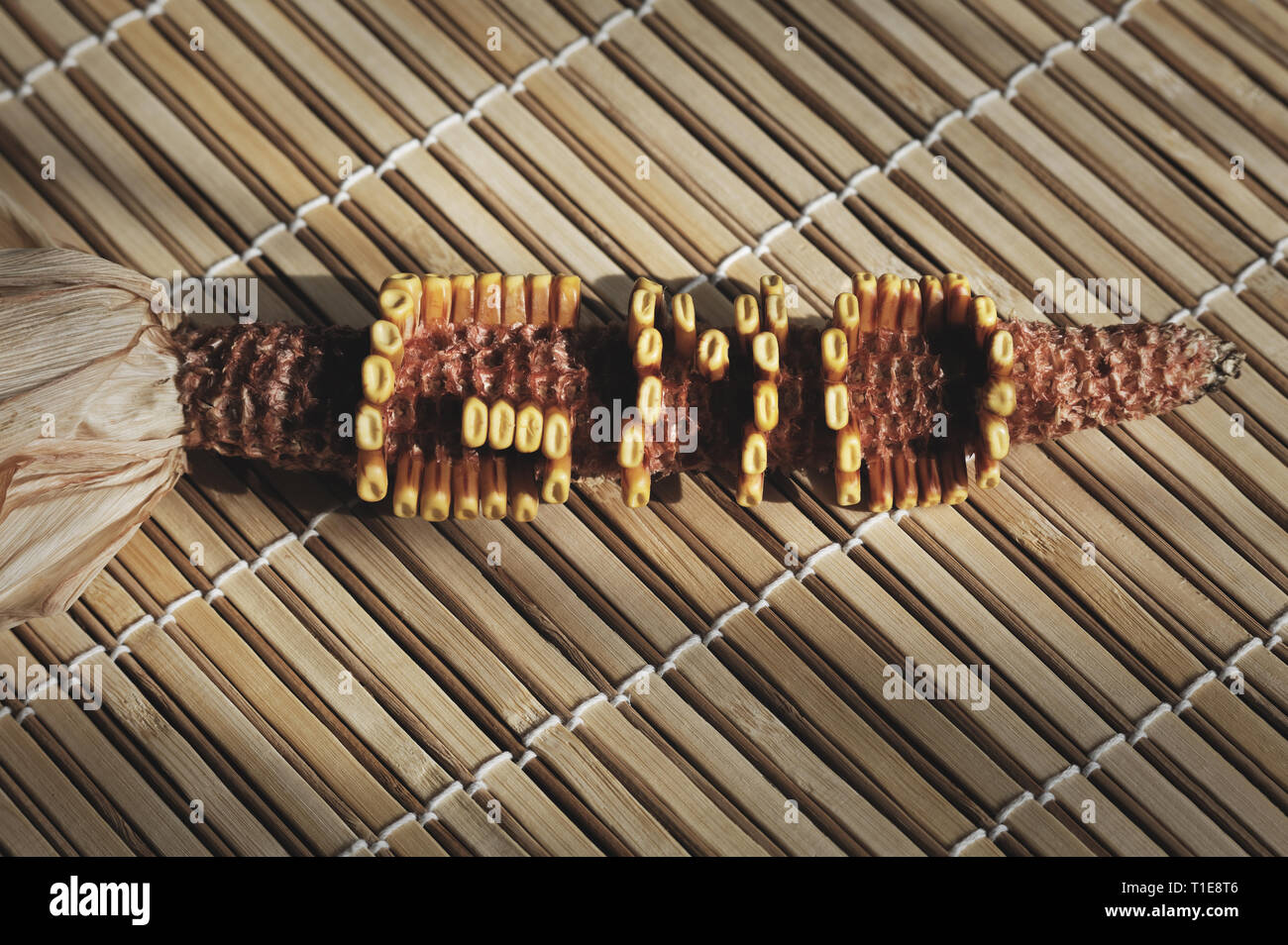 Mais geneticamente modificati colb cibo concetto chiamato OGM Foto Stock