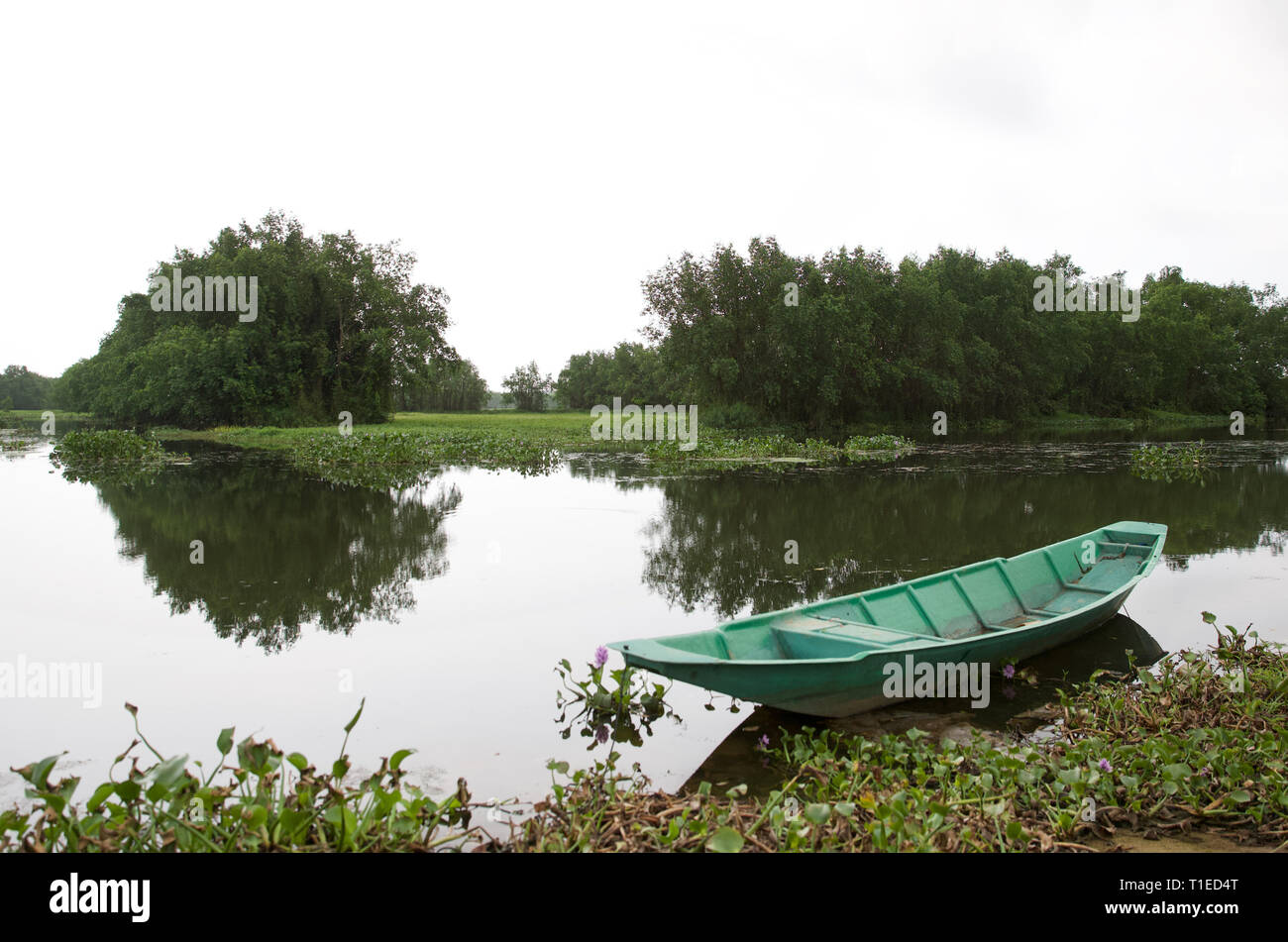 Boao. 25 Mar, 2019. Foto scattata il 25 marzo 2019 mostra una molla scenario del villaggio Shamei in città Boao, Qionghai City, a sud della Cina di Hainan provincia. Città Qionghai ha spronato i suoi passi verso la costruzione di "bei villaggi", l'applicazione di piani differenti in base alle condizioni locali. Essa ha sviluppato 2,343 "civilizzato e villaggi ecologici" finora, contabilità per il 88,6 per cento della città villaggi naturali. Credito: Hou Dongtao/Xinhua/Alamy Live News Foto Stock