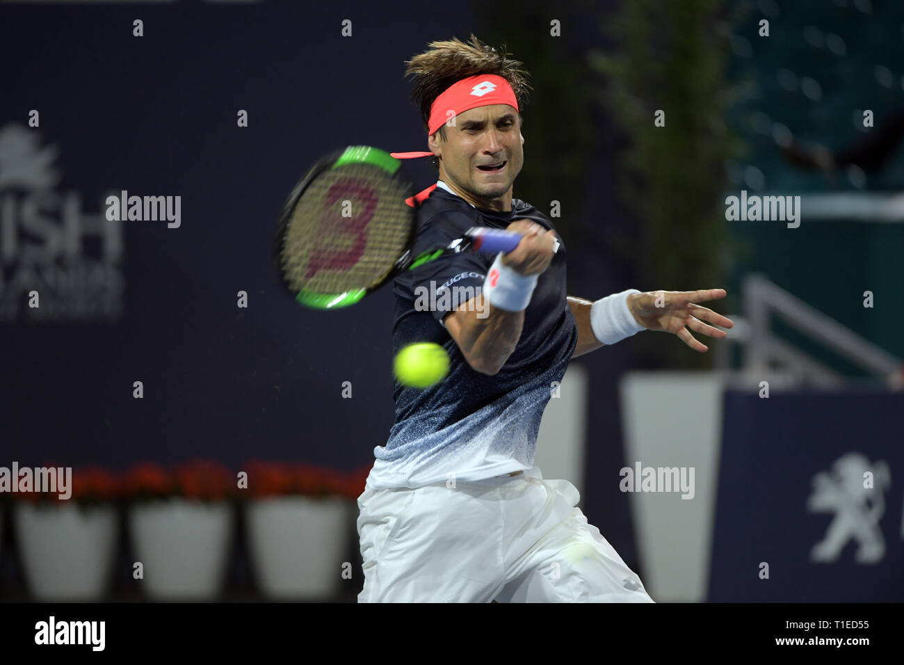 Giardini di Miami, Florida, Stati Uniti d'America. 25 mar 2019. Francesca Tiafoe sconfigge David Ferrer della Spagna durante il giorno 8 del Miami Open presentato da Itau all'Hard Rock Stadium il 25 marzo 2019 nei giardini di Miami, Florida. Persone: David Ferrer Foto Stock