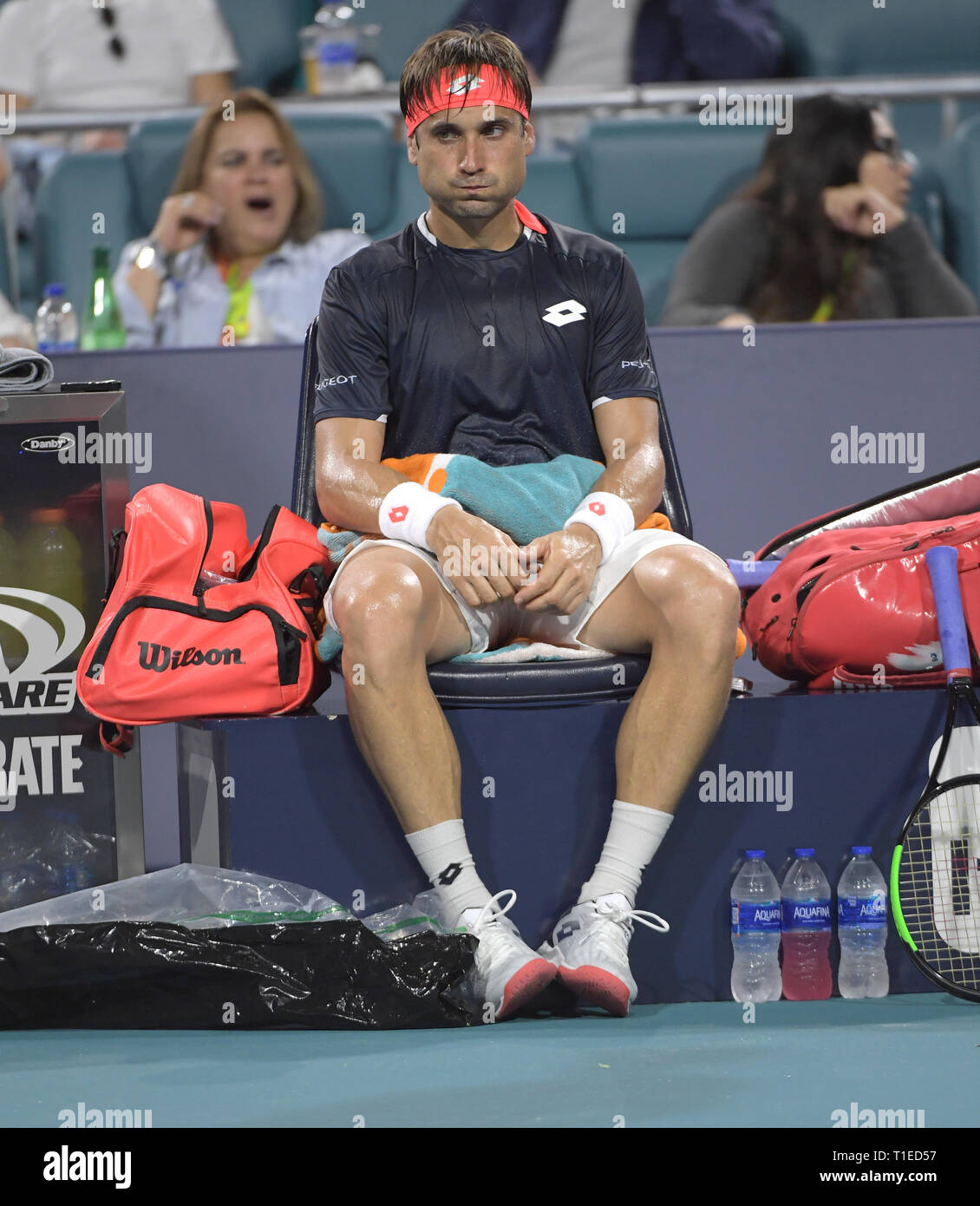 Giardini di Miami, Florida, Stati Uniti d'America. 25 mar 2019. Francesca Tiafoe sconfigge David Ferrer della Spagna durante il giorno 8 del Miami Open presentato da Itau all'Hard Rock Stadium il 25 marzo 2019 nei giardini di Miami, Florida. Persone: David Ferrer Foto Stock