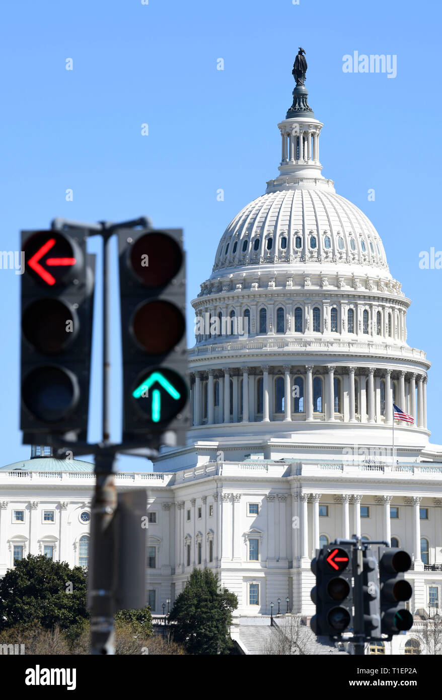 Washington, Stati Uniti d'America. 26 Mar, 2019. Gli Stati Uniti Capitol è visto in Washington, DC, Stati Uniti, il 26 marzo 2019. Gli Stati Uniti Casa dei Rappresentanti non riuscita su Martedì per ignorare il presidente Donald Trump il veto di una risoluzione del congresso del suo blocco di dichiarazione di una emergenza nazionale presso la nazione meridionale del confine con il Messico. Credito: Liu Jie/Xinhua/Alamy Live News Foto Stock