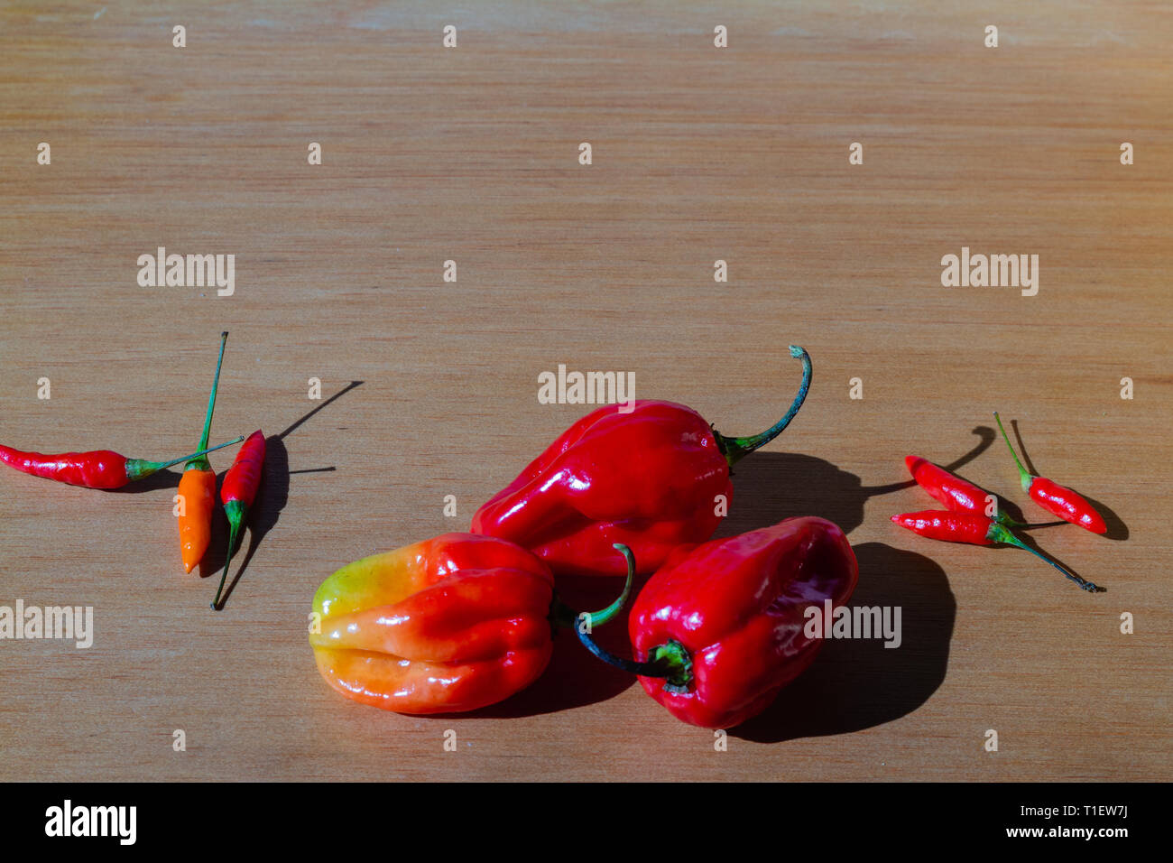 Il peperoncino (Cile, Cile pepe, peperoncino, o peperoncino) Foto Stock