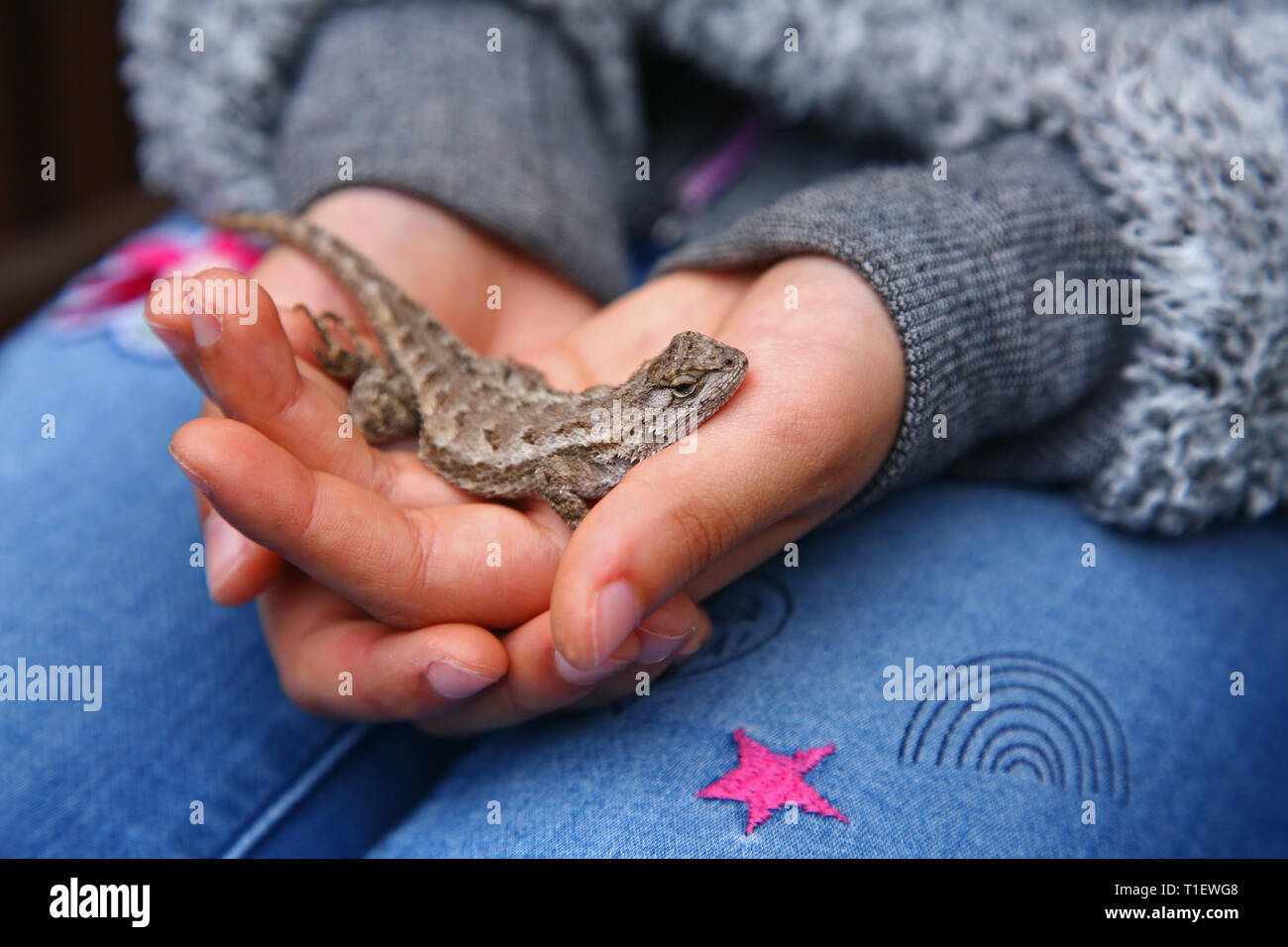 Ragazza con lizard in mani Foto Stock