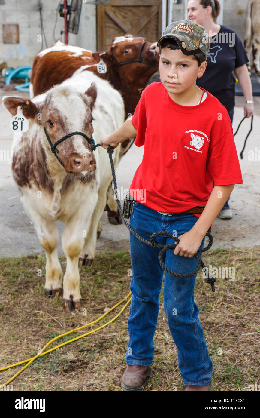 Miami Florida, Kendall, Tropical Park, Miami International Agriculture and Cattle Show, allevamento, commercio di bestiame, Agri business, ragazzi, ragazzi ragazzi maschi bambini chil Foto Stock