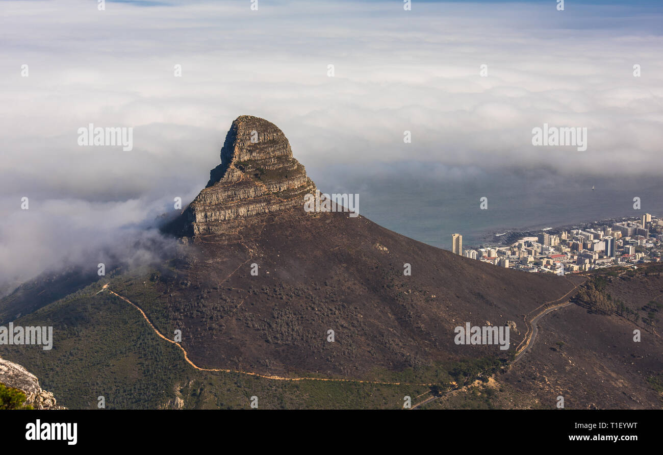 Vista panoramica di Cape Town, testa di leone e Signal Hill dalla cima della montagna della tavola. Foto Stock