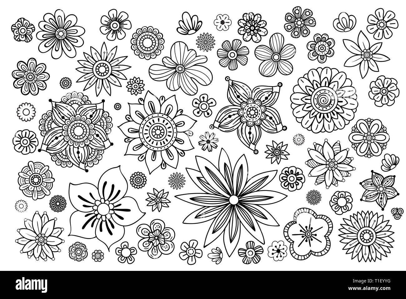Collezione di fiori disegnati a mano. Set di elementi floreali. Illustrazione in bianco e nero in stile doodles. Foto Stock