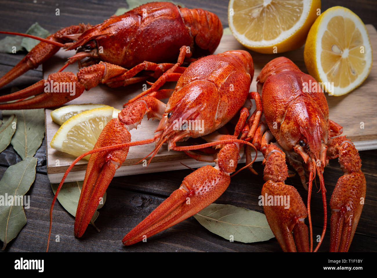 Il gambero di fiume. Rosso bollito crawfishes sul tavolo in stile rustico, primo piano. Lobster closeup. Foto Stock