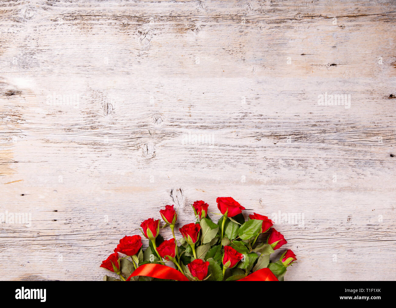 Rosso luminoso giardino di rose bianche su sfondo di legno Foto Stock