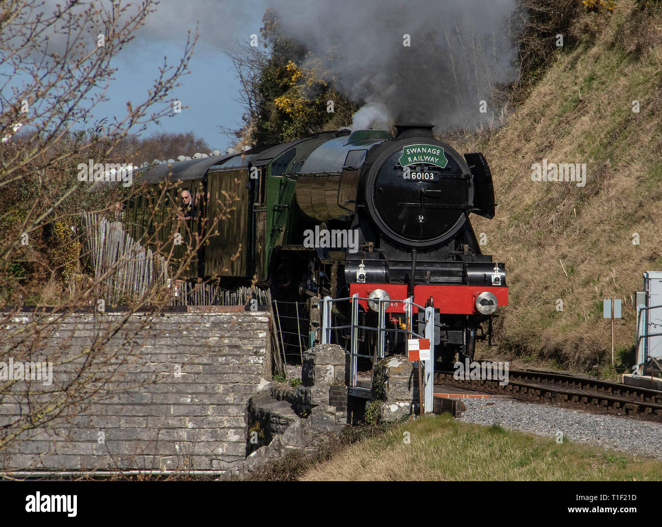 Volo Scotsman in visita alla Ferrovia Swanage Foto Stock