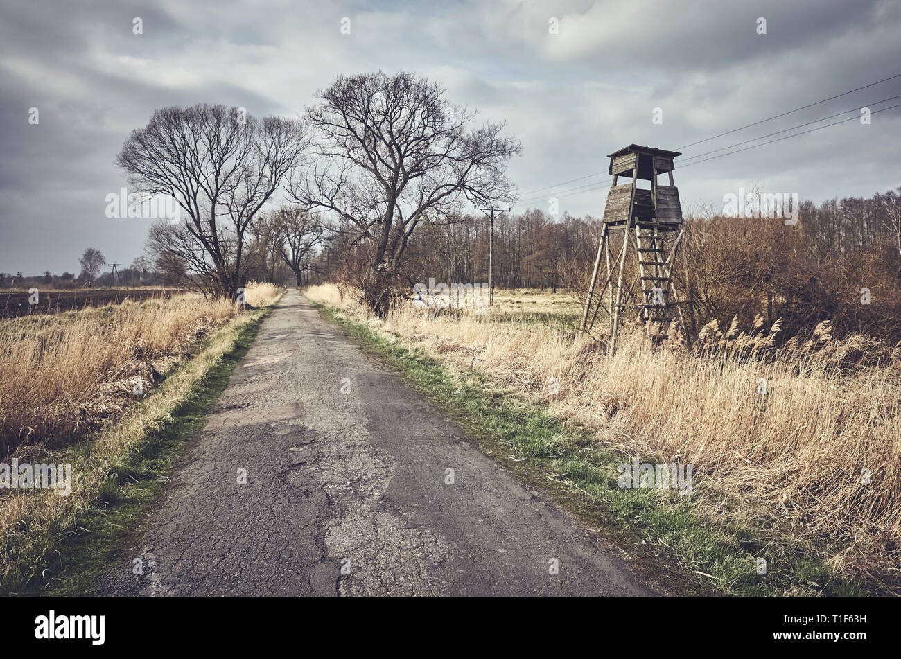 Strada di campagna con i cervi pulpito di caccia in primavera, tonificazione del colore applicato. Foto Stock