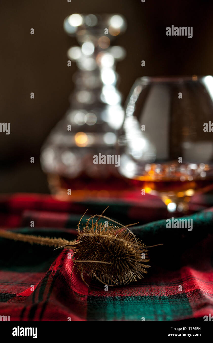 Bicchiere di whisly scozzese su una tabella con i tradizionali tartan e un thisly, simbolo della Scozia Foto Stock