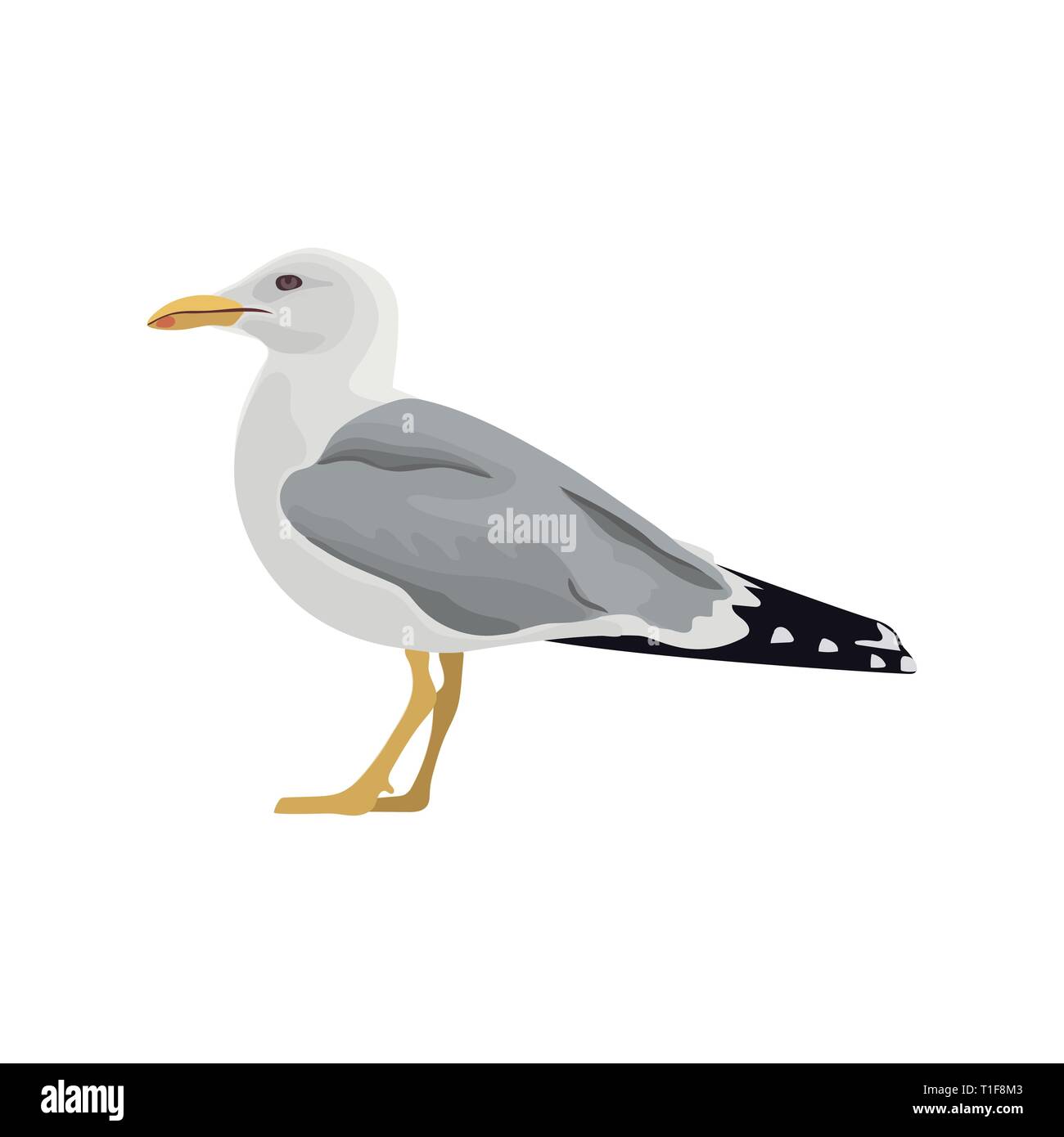 Il gabbiano comune mew gull Unione aringa gull. Illustrazione Vettoriale. Elemento per il design. Appoggio permanente curiosi uccelli di mare Illustrazione Vettoriale