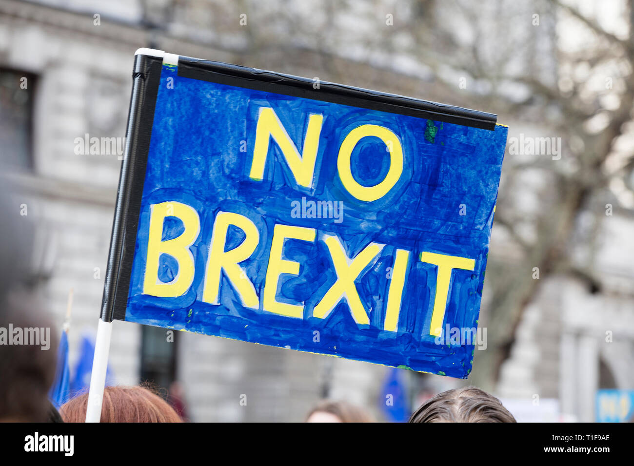 No Brexit banner in una protesta politica a Londra Foto Stock