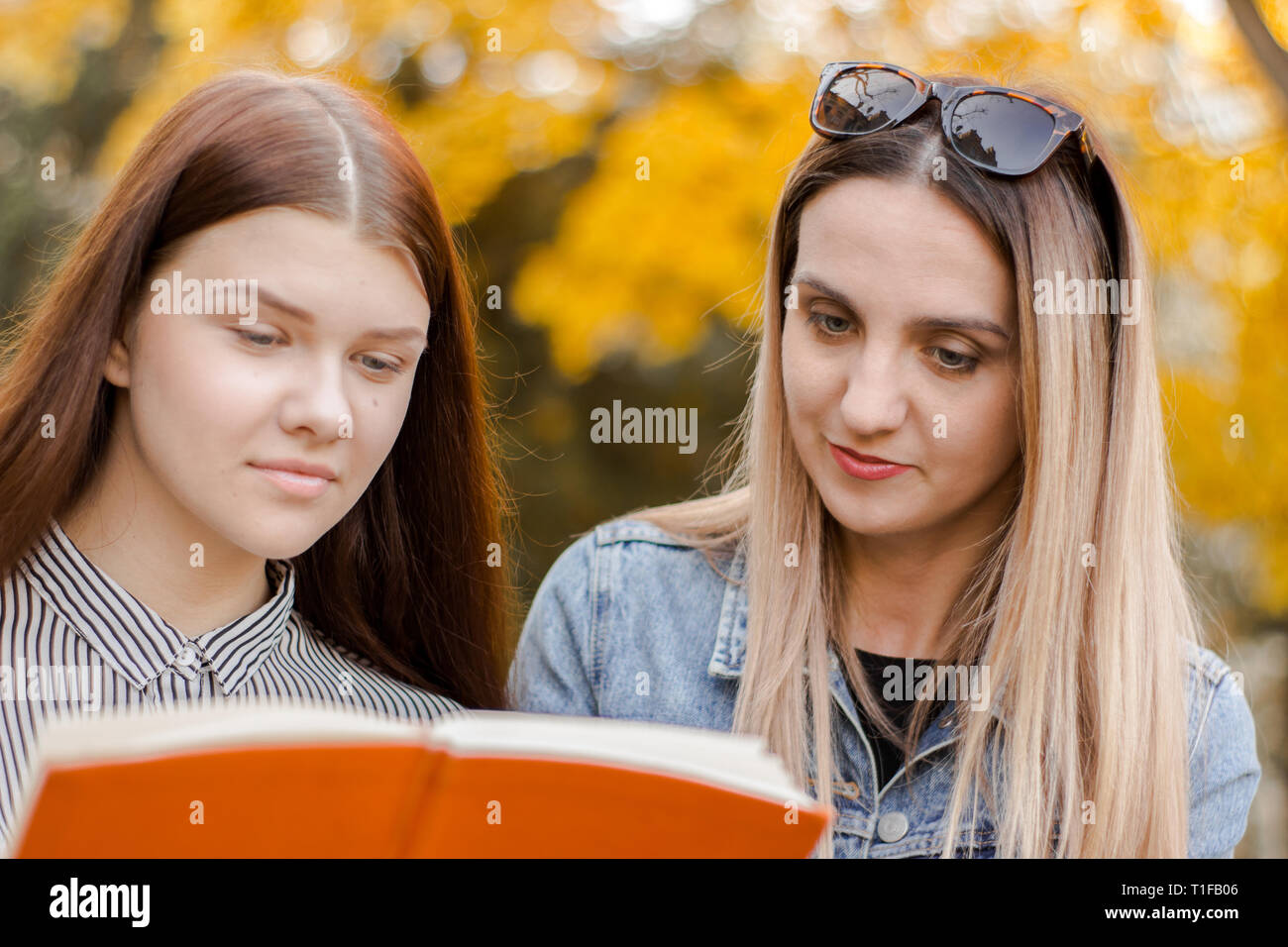 Due ragazze, con piacere, leggere un libro in autunno park Foto Stock