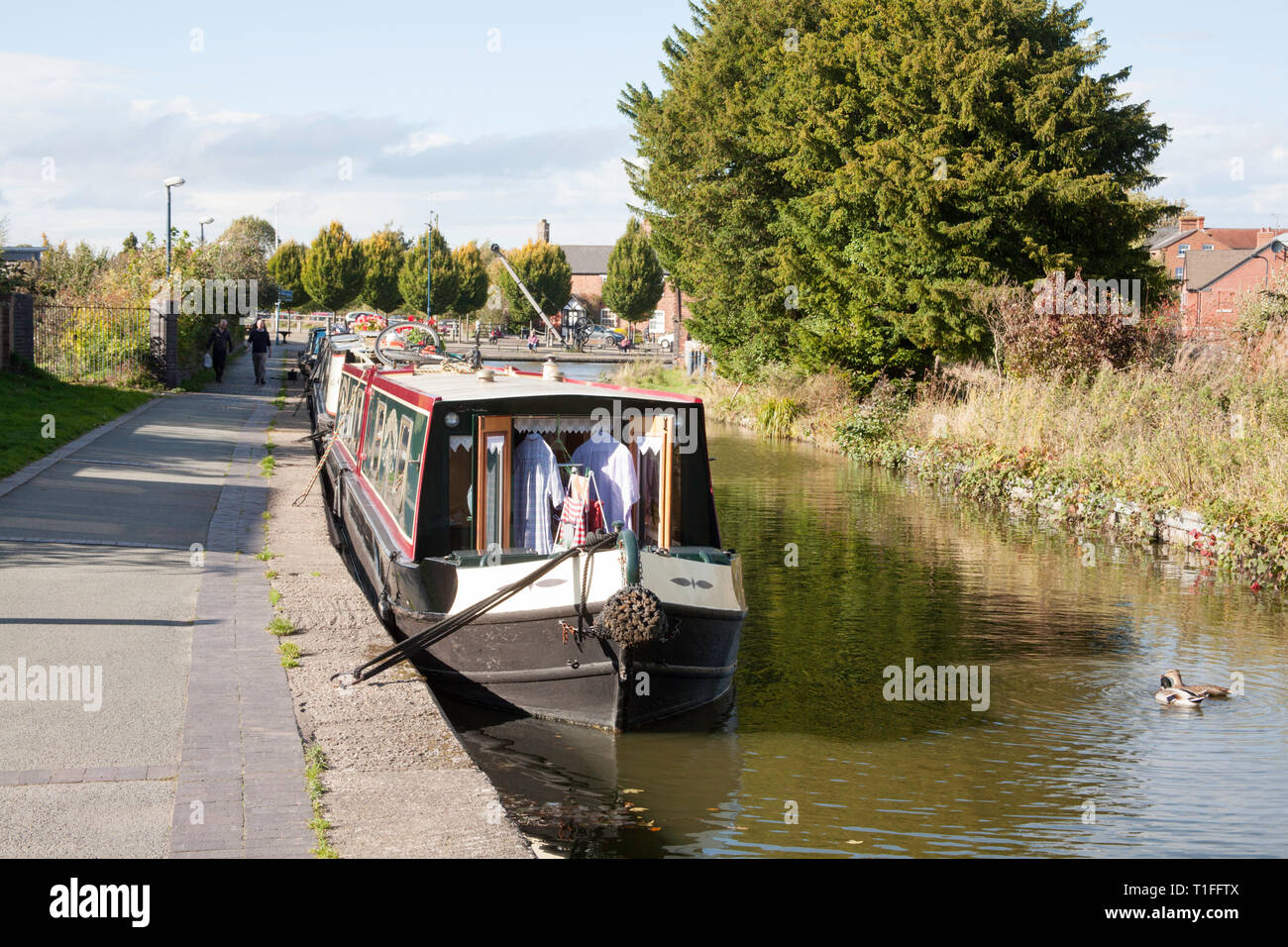 Strette barche ormeggiate a Ellesmere Bacino del canale sul canale di Llangollen a Ellesmere Shropshire Inghilterra Foto Stock