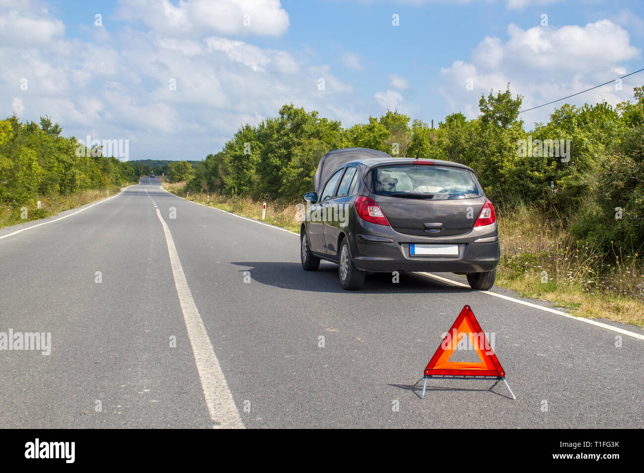 Guasto Auto sulla campagna. Auto in attesa per la guida su strada. Ripartizione per auto Foto Stock