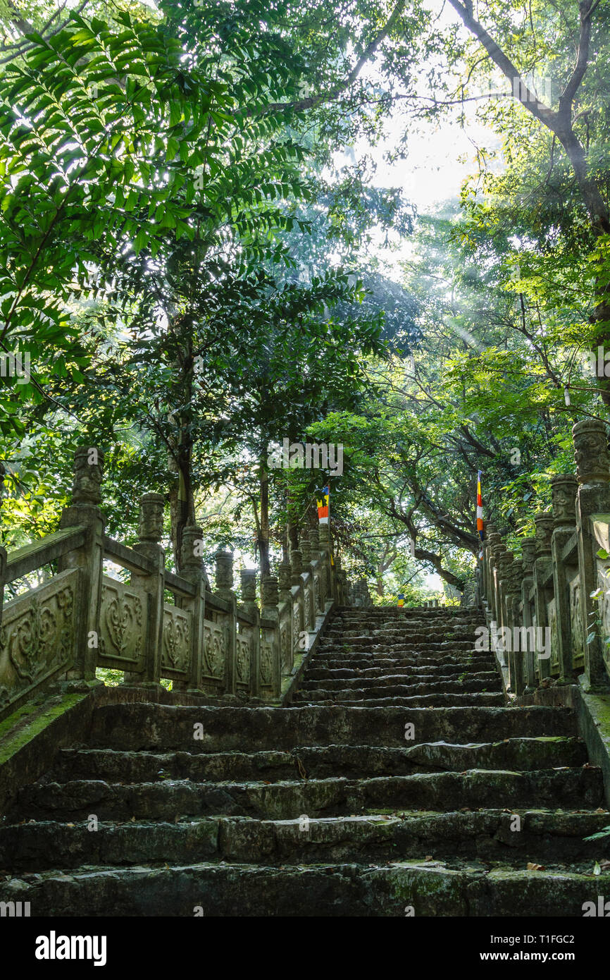 Scale di pietra a Huong Pagoda o profumo Pagoda a My Duc distretto, Vietnam. Foto Stock