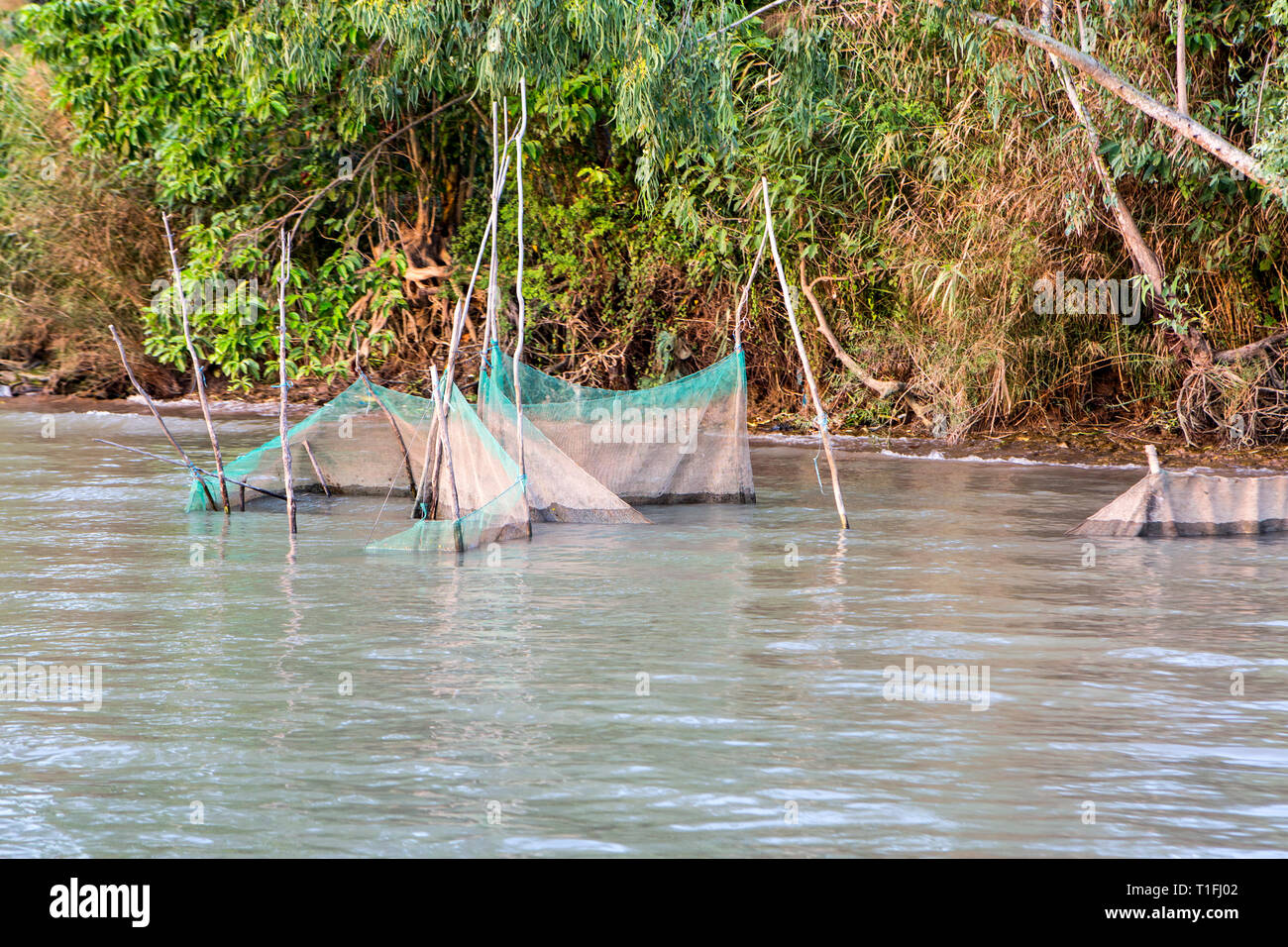 Trappole di pesce sul fiume Mekong, Vietnam. Foto Stock