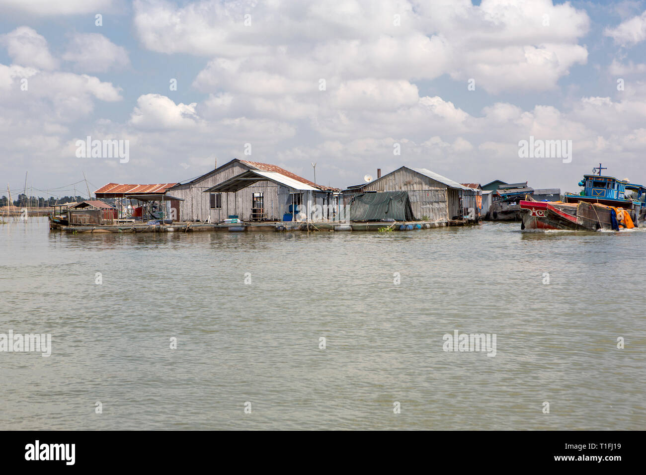 Flottante allevamenti di pesce sul fiume Mekong, Vietnam. Foto Stock
