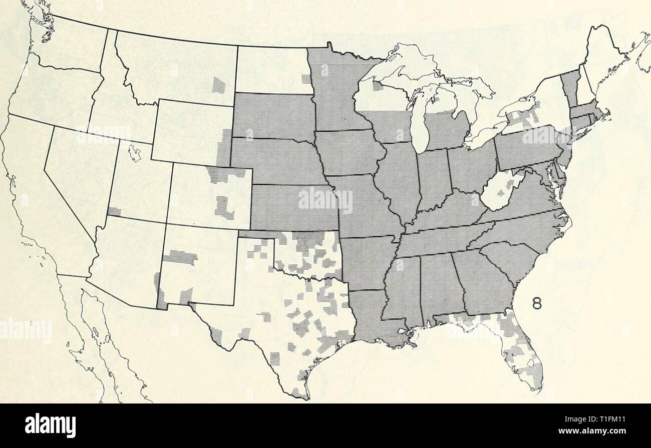 Le mappe di distribuzione di alcuni insetti mappe di distribuzione di alcuni insetti nocivi negli Stati Uniti distributionmaps00Unità Anno: 1959 Diabrotica undecimpunctata howardi (southern corn rootworm) Foto Stock