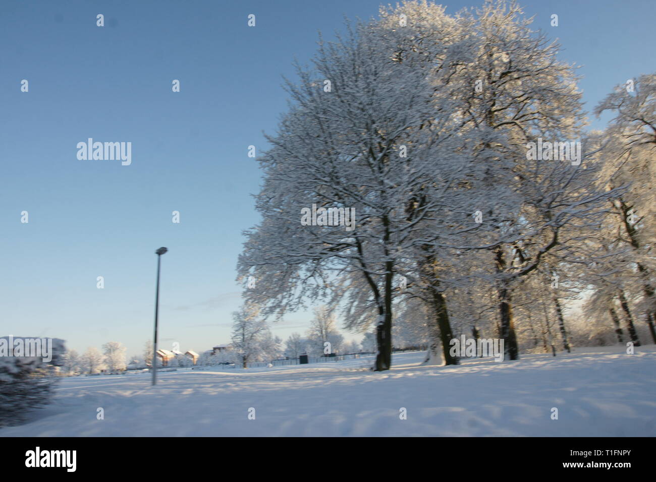 Coperta di neve paesaggio invernale Foto Stock