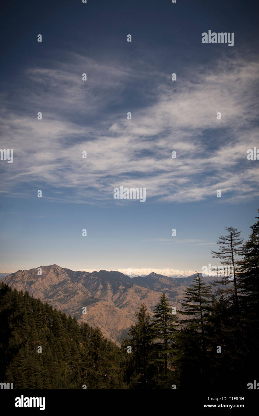 Shimla, India settentrionale Foto Stock