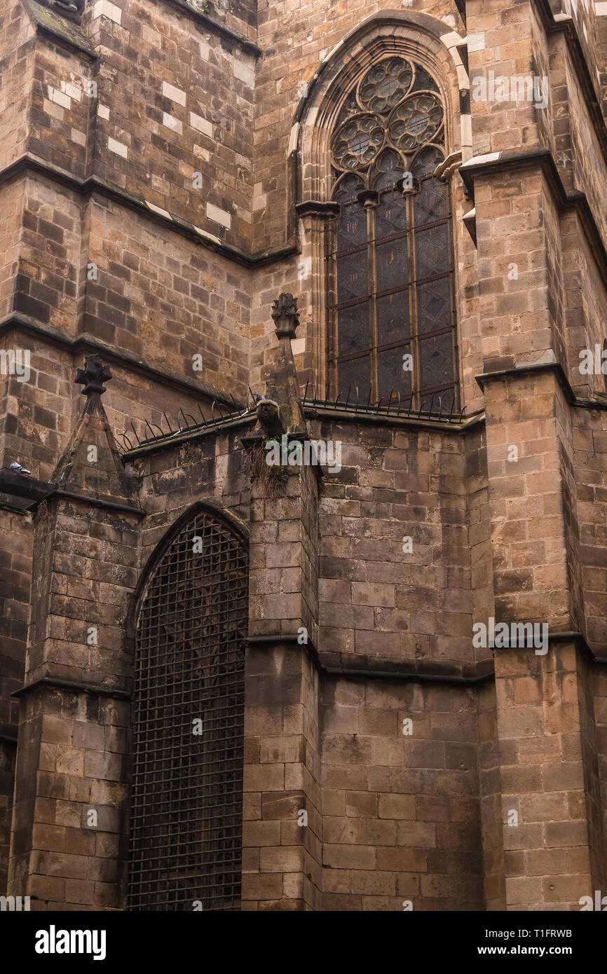 Una parte della facciata della Cattedrale di Santa Croce e di Santa Eulalia closeup, Barcellona, Spagna Foto Stock