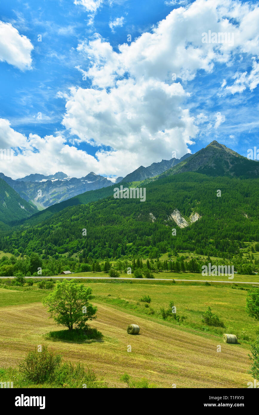 Vista delle Alpi in estate. Paesaggio delle Alpi francesi con vaste foreste sempreverdi e haystacks sul campo Foto Stock