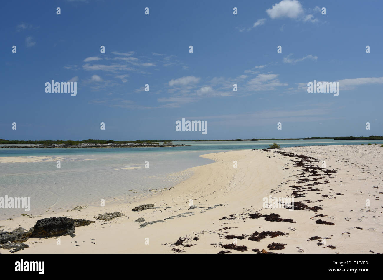 La remota isola di Mayaguana in Bahamas offre favolose vaste vedute delle bellissime spiagge si possono avere completamente a se stessi. Noto anche come par Foto Stock