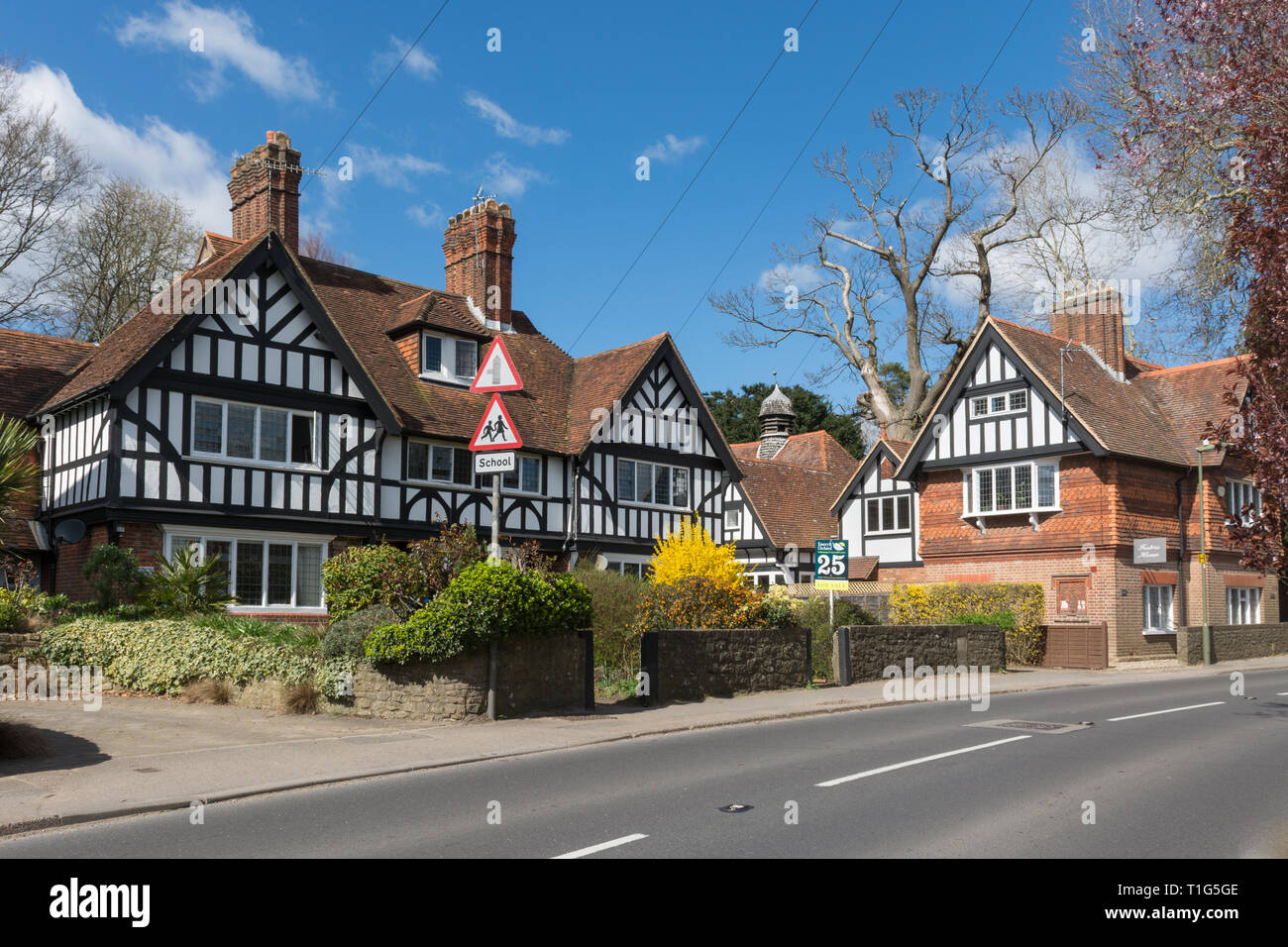 Cottage di caratteri (le case con la struttura in legno) nel villaggio di Witley nel Surrey, Regno Unito, durante la primavera. Foto Stock