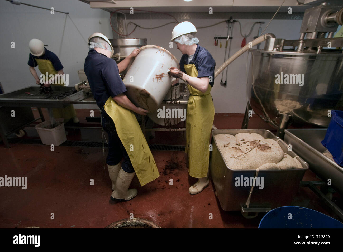 I membri del personale del R. S. Irlanda in Haslingden, Lancashire, Inghilterra, miscelando gli ingredienti per una tradizionale Bury budino nero che la società sta prendendo il Concour du Meilleur Boudin Noir, l'Europa il più prestigioso festival che celebra il budino nero che avviene da 14-16 marzo 2008 in Normandia, Francia. R. S. in Irlanda è stata fondata 50 anni fa e impiega circa 15 persone oltre 300 tonnellate di black pudding ogni anno. Budino nero è stato un gustoso piatto fatto dal sangue animale, fiocchi d'avena, cipolle, grasso, di orzo e di spezie. Foto Stock