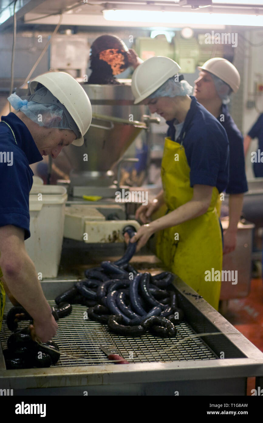 I membri del personale del R. S. Irlanda in Haslingden, Lancashire, Inghilterra, il funzionamento di una macchina di riempimento rendendo seppellire tradizionale budino nero che la società sta prendendo il Concour du Meilleur Boudin Noir, l'Europa il più prestigioso festival che celebra il budino nero che avviene da 14-16 marzo 2008 in Normandia, Francia. R. S. in Irlanda è stata fondata 50 anni fa e impiega circa 15 persone oltre 300 tonnellate di black pudding ogni anno. Budino nero è stato un gustoso piatto fatto dal sangue animale, fiocchi d'avena, cipolle, grasso, di orzo e di spezie. Foto Stock