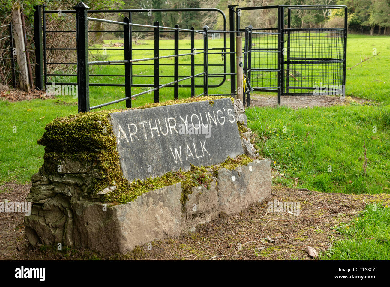 Arthur Young's Walk Nature Trail punto di partenza presso Muckross House and Gardens nel Killarney National Park, County Kerry, Irlanda Foto Stock