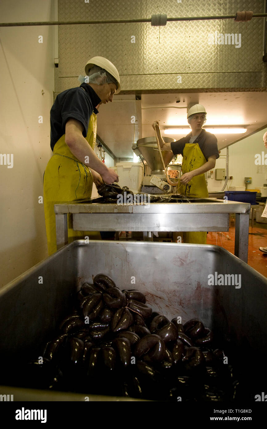 I membri del personale del R. S. Irlanda in Haslingden, Lancashire, Inghilterra, il funzionamento di una macchina di riempimento rendendo seppellire tradizionale budino nero che la società sta prendendo il Concour du Meilleur Boudin Noir, l'Europa il più prestigioso festival che celebra il budino nero che avviene da 14-16 marzo 2008 in Normandia, Francia. R. S. in Irlanda è stata fondata 50 anni fa e impiega circa 15 persone oltre 300 tonnellate di black pudding ogni anno. Budino nero è stato un gustoso piatto fatto dal sangue animale, fiocchi d'avena, cipolle, grasso, di orzo e di spezie. Foto Stock