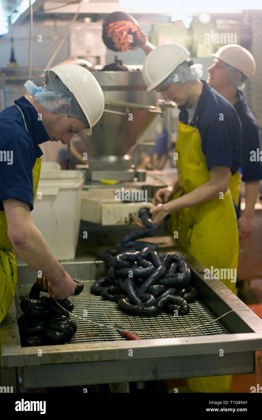 I membri del personale del R. S. Irlanda in Haslingden, Lancashire, Inghilterra, il funzionamento di una macchina di riempimento rendendo seppellire tradizionale budino nero che la società sta prendendo il Concour du Meilleur Boudin Noir, l'Europa il più prestigioso festival che celebra il budino nero che avviene da 14-16 marzo 2008 in Normandia, Francia. R. S. in Irlanda è stata fondata 50 anni fa e impiega circa 15 persone oltre 300 tonnellate di black pudding ogni anno. Budino nero è stato un gustoso piatto fatto dal sangue animale, fiocchi d'avena, cipolle, grasso, di orzo e di spezie. Foto Stock