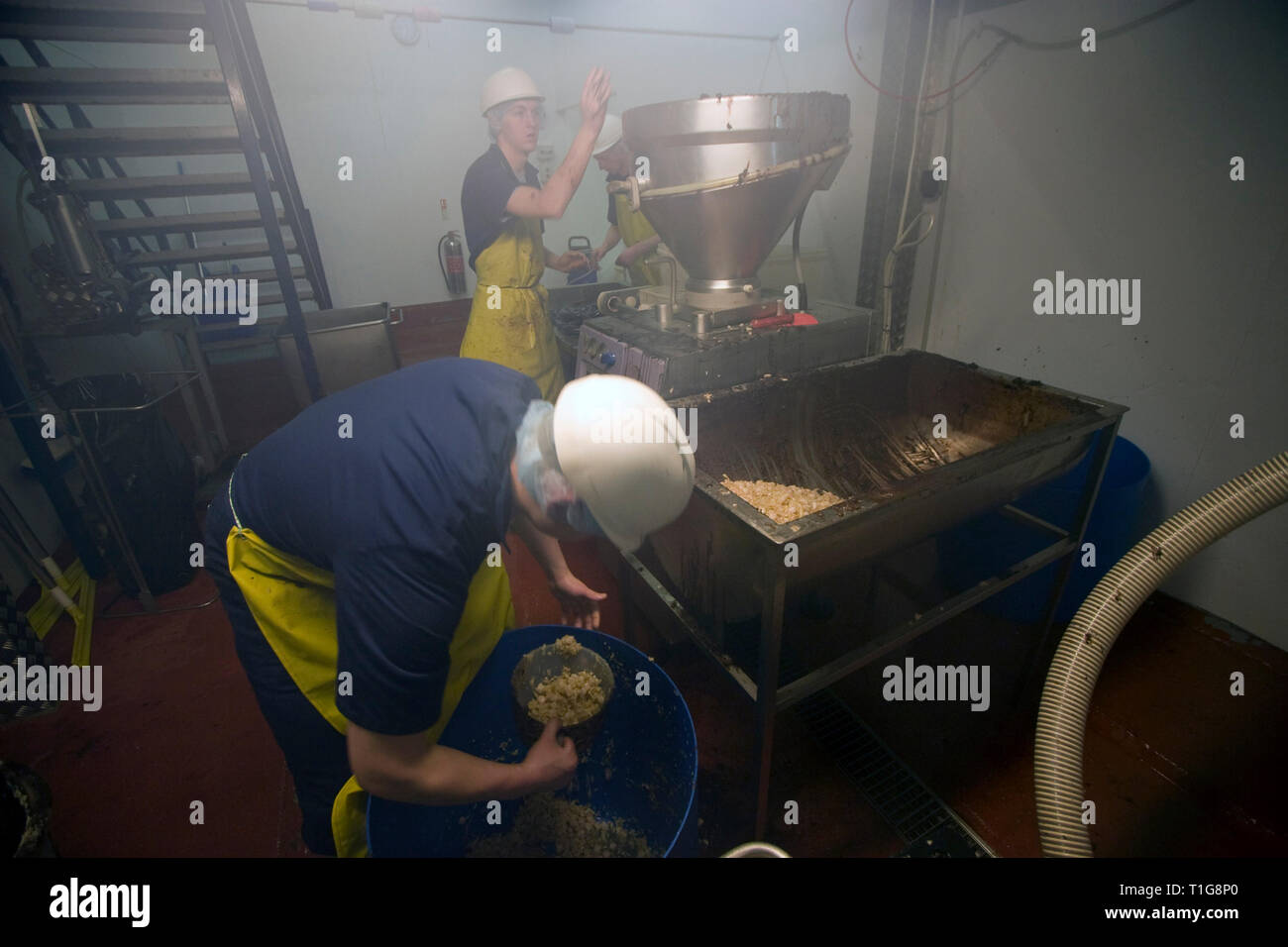 I membri del personale del R. S. Irlanda in Haslingden, Lancashire, Inghilterra, miscelando gli ingredienti per una tradizionale Bury budino nero che la società sta prendendo il Concour du Meilleur Boudin Noir, l'Europa il più prestigioso festival che celebra il budino nero che avviene da 14-16 marzo 2008 in Normandia, Francia. R. S. in Irlanda è stata fondata 50 anni fa e impiega circa 15 persone oltre 300 tonnellate di black pudding ogni anno. Budino nero è stato un gustoso piatto fatto dal sangue animale, fiocchi d'avena, cipolle, grasso, di orzo e di spezie. Foto Stock