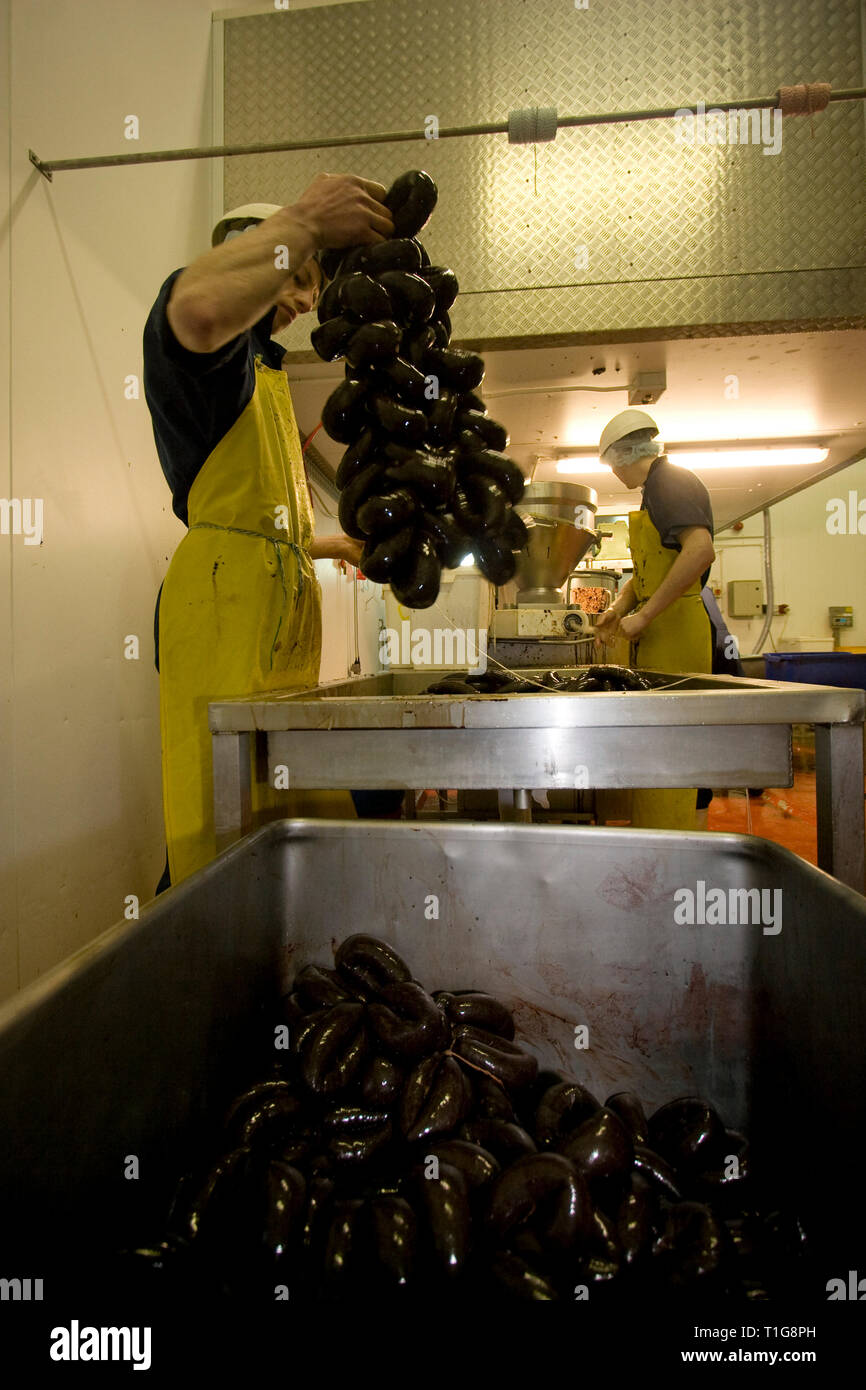 I membri del personale del R. S. Irlanda in Haslingden, Lancashire, Inghilterra, il funzionamento di una macchina di riempimento rendendo seppellire tradizionale budino nero che la società sta prendendo il Concour du Meilleur Boudin Noir, l'Europa il più prestigioso festival che celebra il budino nero che avviene da 14-16 marzo 2008 in Normandia, Francia. R. S. in Irlanda è stata fondata 50 anni fa e impiega circa 15 persone oltre 300 tonnellate di black pudding ogni anno. Budino nero è stato un gustoso piatto fatto dal sangue animale, fiocchi d'avena, cipolle, grasso, di orzo e di spezie. Foto Stock