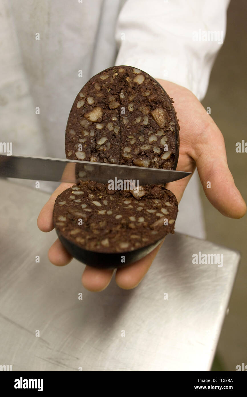 Appena fatta seppellire tradizionale budino nero essendo exaqmined a R. S. Irlanda nei locali dell a Haslingden, Lancashire, Inghilterra, che la società sta prendendo il Concour du Meilleur Boudin Noir, l'Europa il più prestigioso festival che celebra il budino nero che avviene da 14-16 marzo 2008 in Normandia, Francia. R. S. in Irlanda è stata fondata 50 anni fa e impiega circa 15 persone oltre 300 tonnellate di black pudding ogni anno. Budino nero è stato un gustoso piatto fatto dal sangue animale, fiocchi d'avena, cipolle, grasso, di orzo e di spezie. Foto Stock