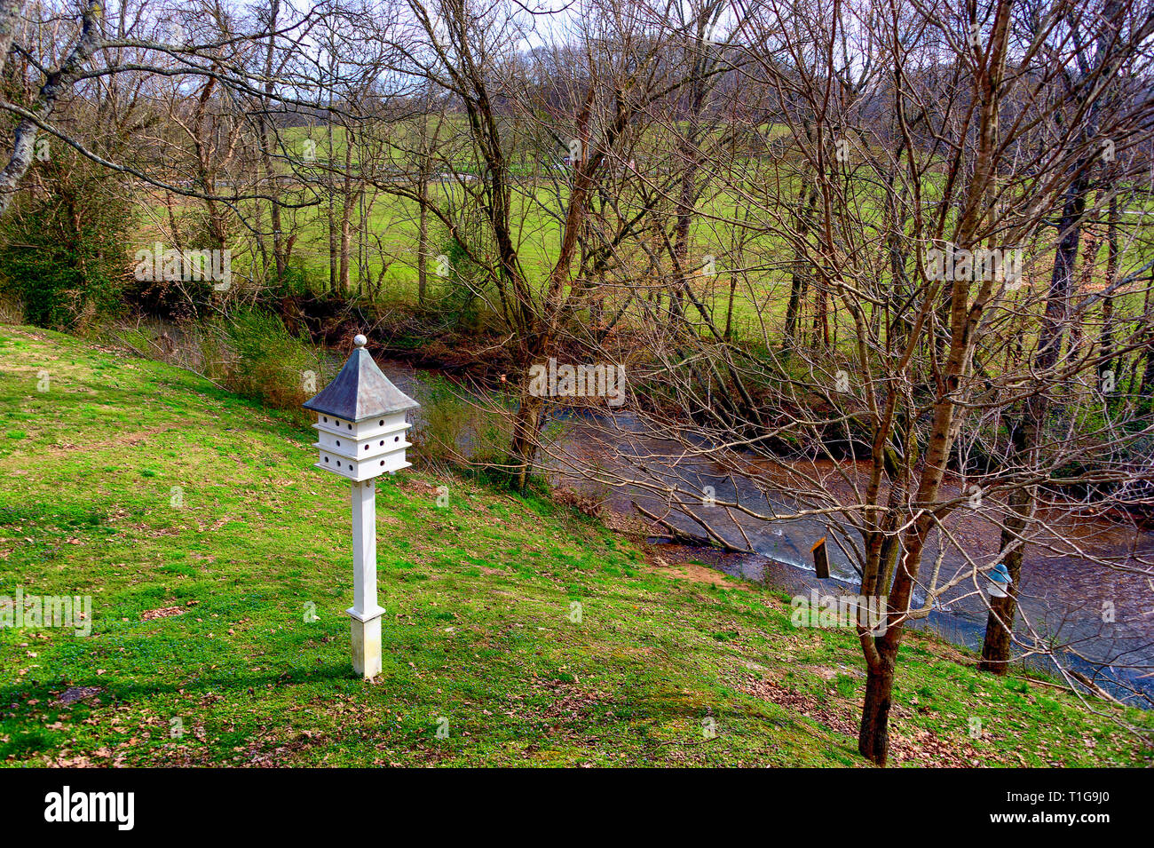 Un bianco Birdhouse sorge su un post lungo le rive del Leiper Forcella del torrente nel villaggio di Leiper la forcella, Tennesse Foto Stock