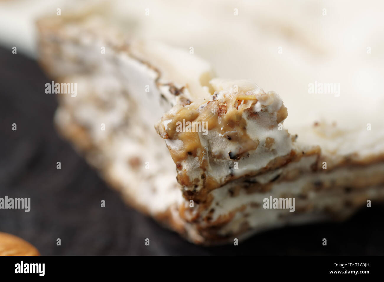 Formaggio di capra con stampo, closeup sulla crosta Foto Stock