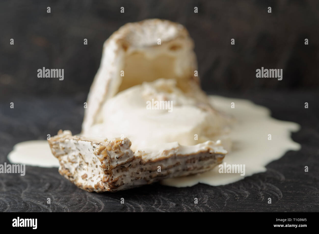 Formaggio di capra con crosta di stampo e il liquido interno Foto Stock