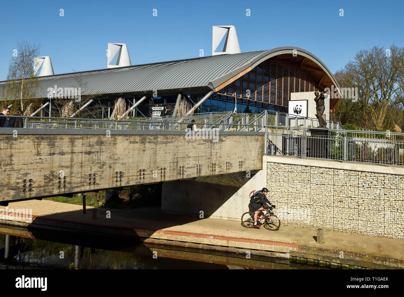 Un ciclista passa il WWF Living Planet Center di Woking town center Surrey UK Foto Stock