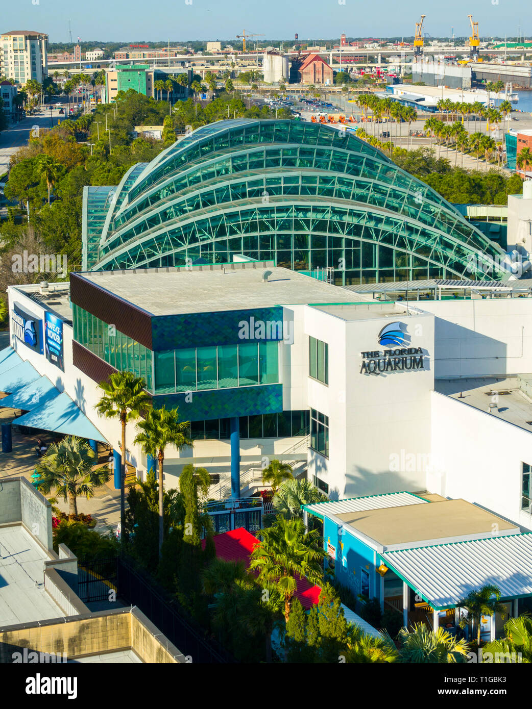 Il Florida Aquarium presso la crociera docks downtown Tampa Florida Foto Stock