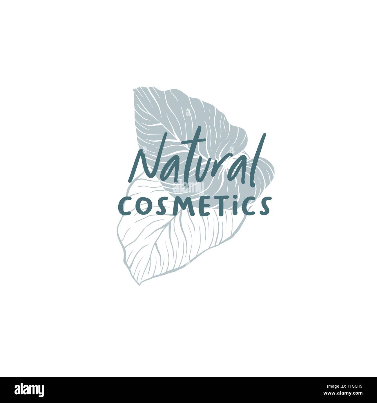 Prodotti cosmetici naturali disegnati a mano modello logo. Silhouette e contorno foglie di monstera disegno. Lettere scritte a mano e esotici leafage illustrazione. Cura della Pelle logotipo shop design lineare Illustrazione Vettoriale