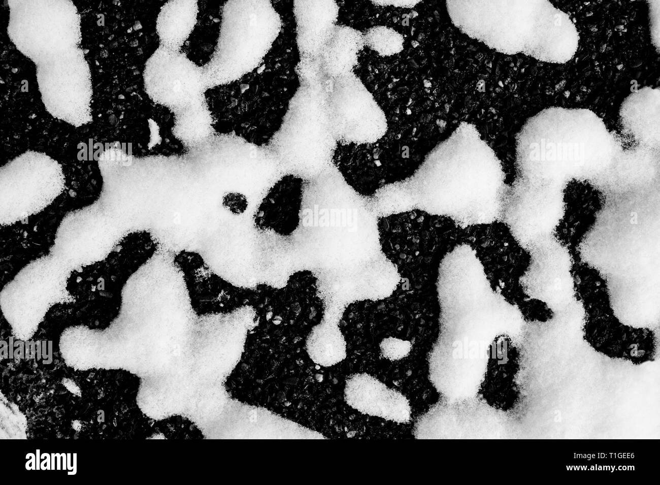 Forme animali nella neve con ghiaia sotto Foto Stock